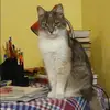 Отзыв от Нелли Крюкова